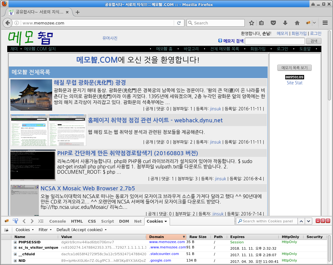 viewing www.memozee.com's cookies with firebug