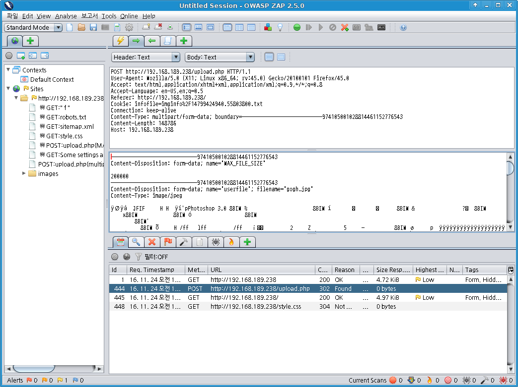 WH-COOKIE-01 OWASP ZAP semi-automatic scan