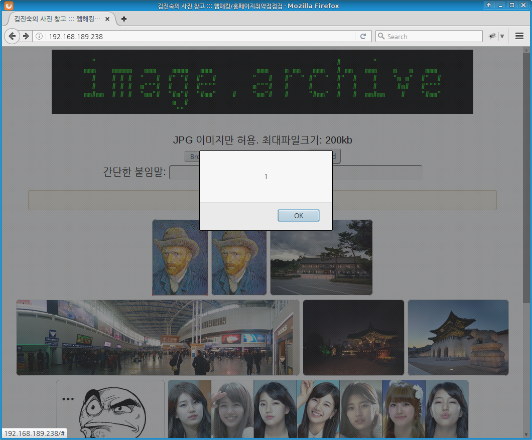 WH-COOKIE-01 javascript alert(1)