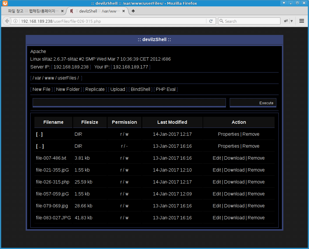 wh-webshell-loc-01: accessing devshel.php