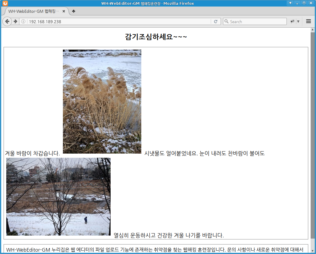 wh-webeditor-gmeditor: first page