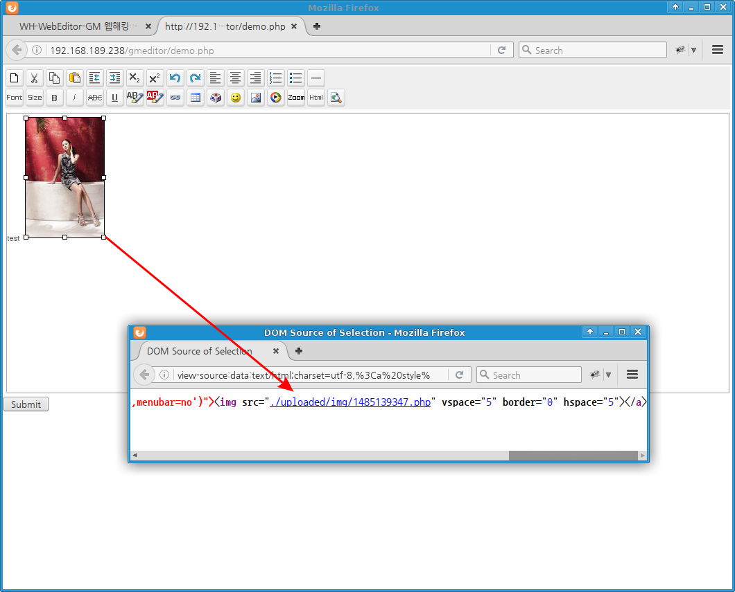 wh-webeditor-gmeditor: image with php ext success