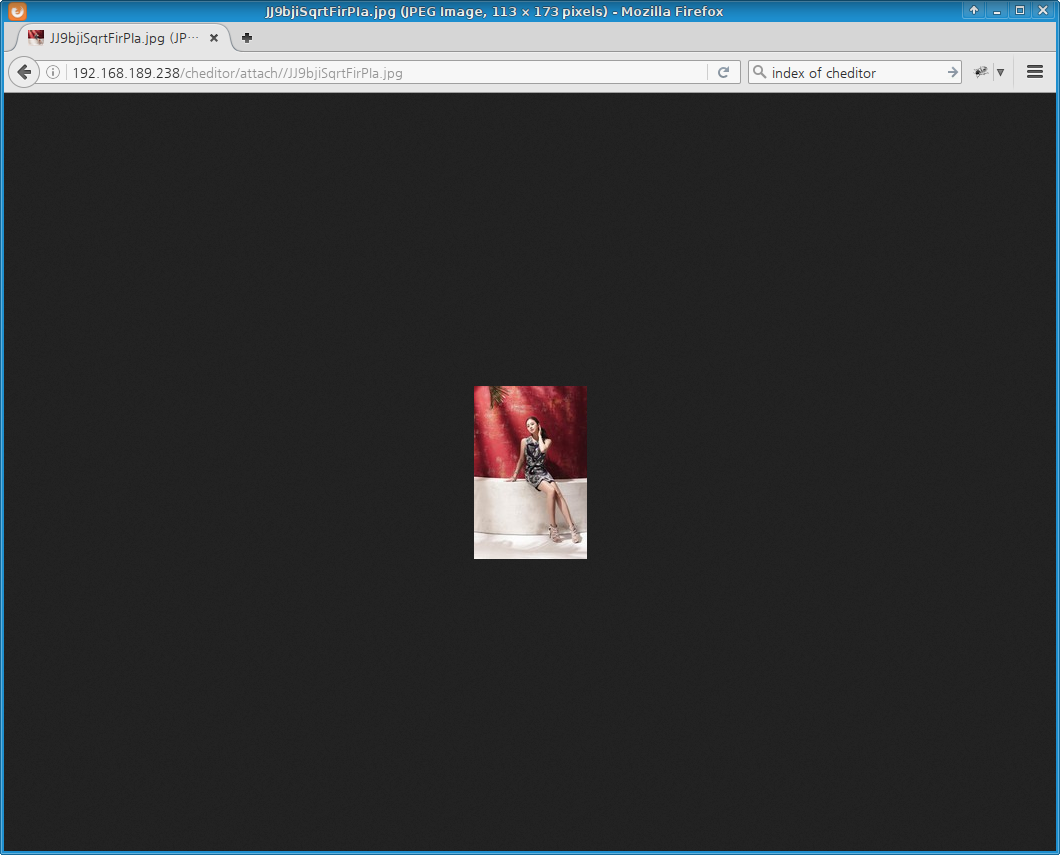 wh-webeditor-ch: image check with firefox