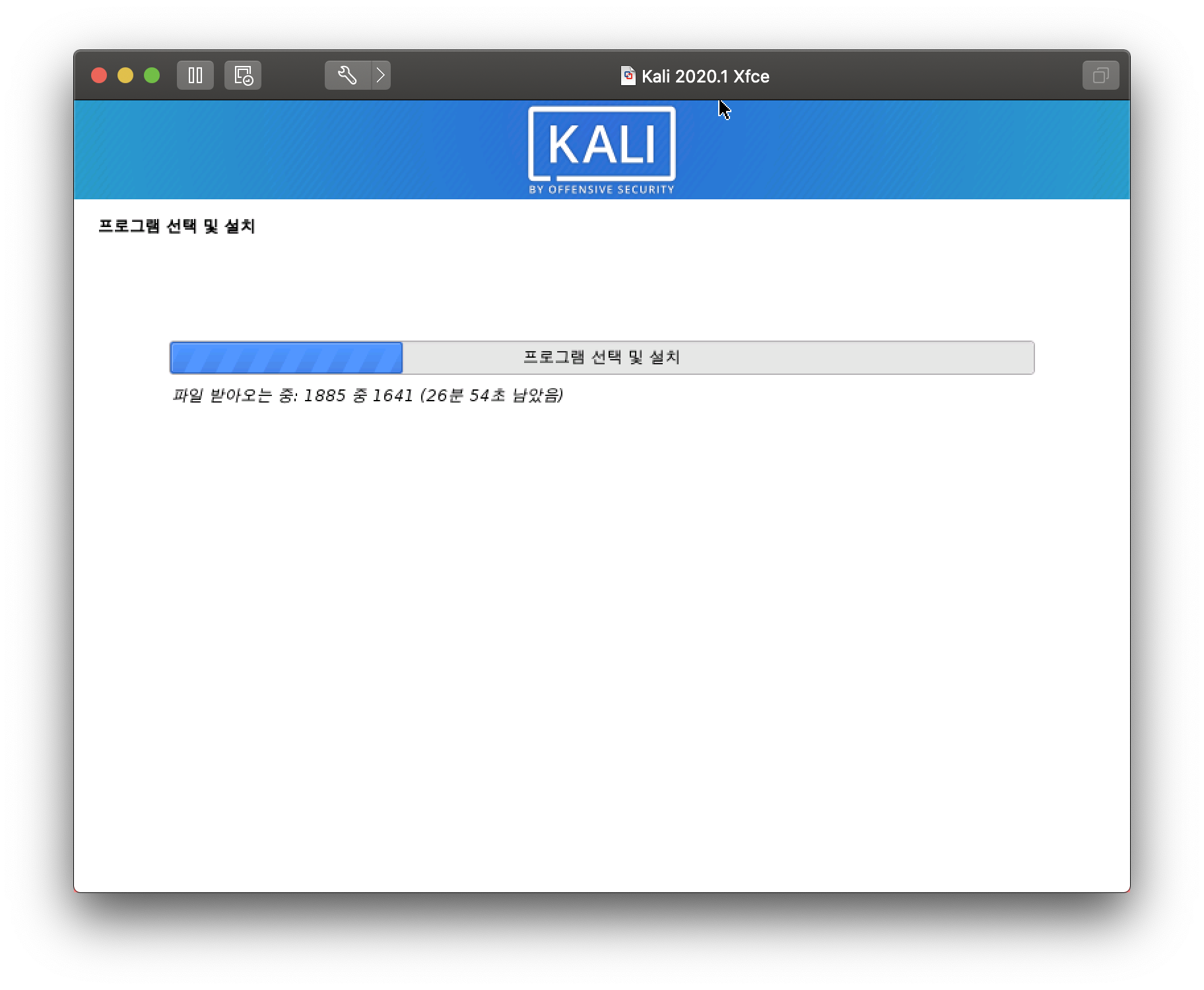 Kali 2020.1: very long delay in installation